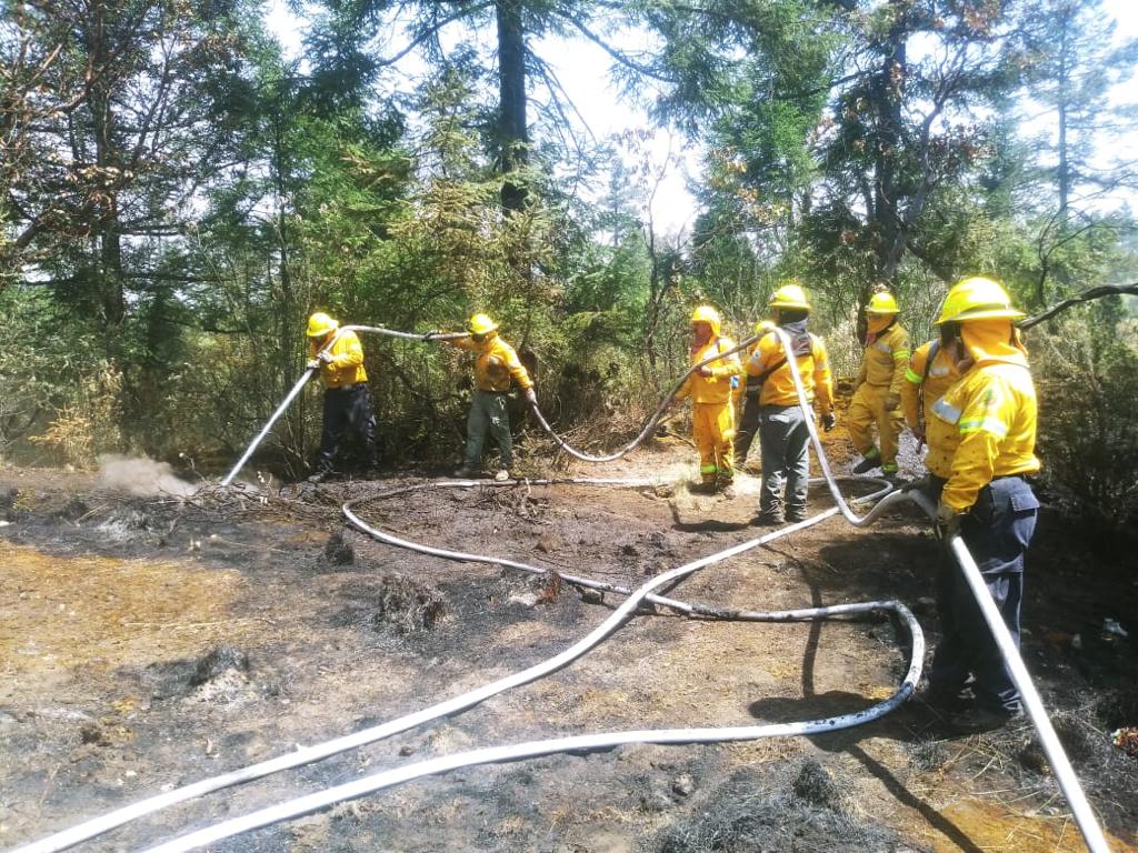 Recomendaciones Para Prevenir Y Evitar Incendios Forestales