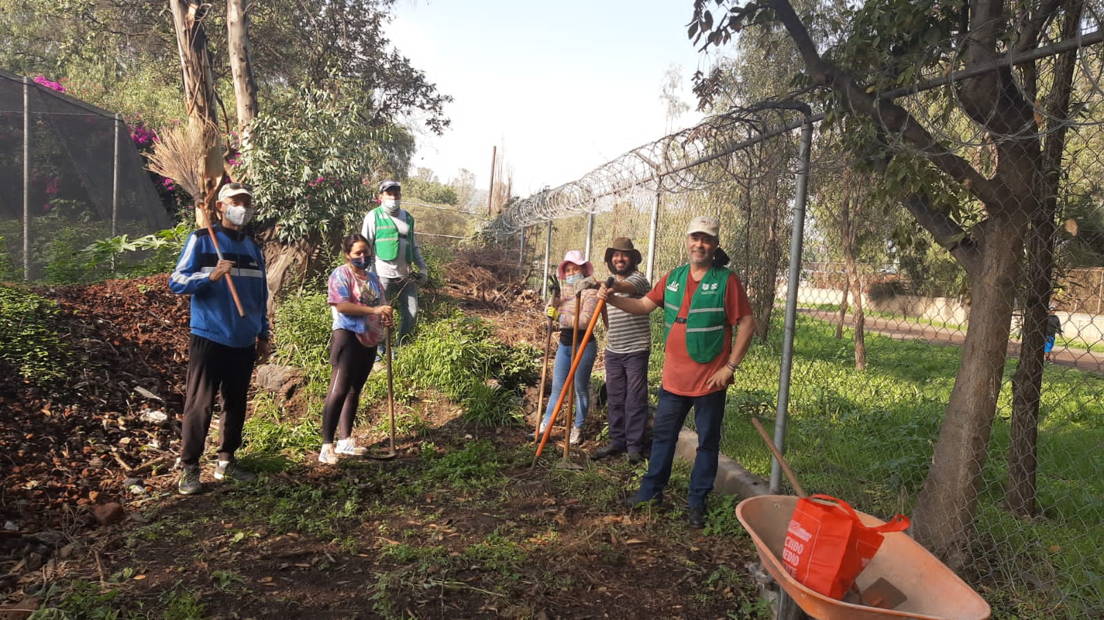 Crea Sedema Huerto Escuelas En Centros De Cultura Ambiental