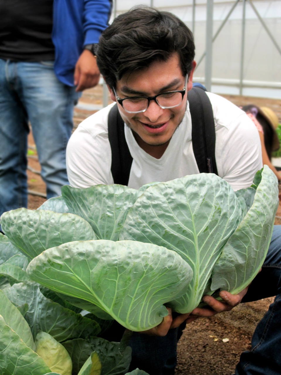 Crea Sedema Huerto Escuelas En Centros De Cultura Ambiental