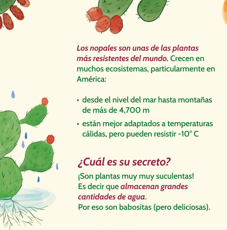 nopal