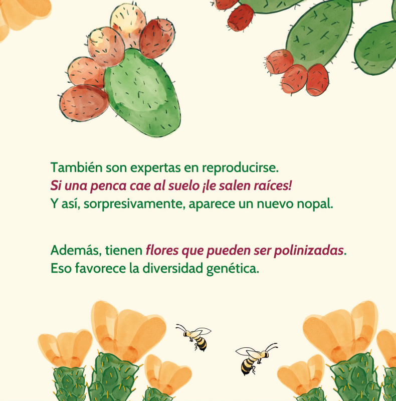 nopal