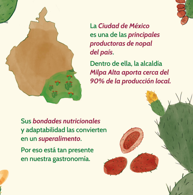 nopal