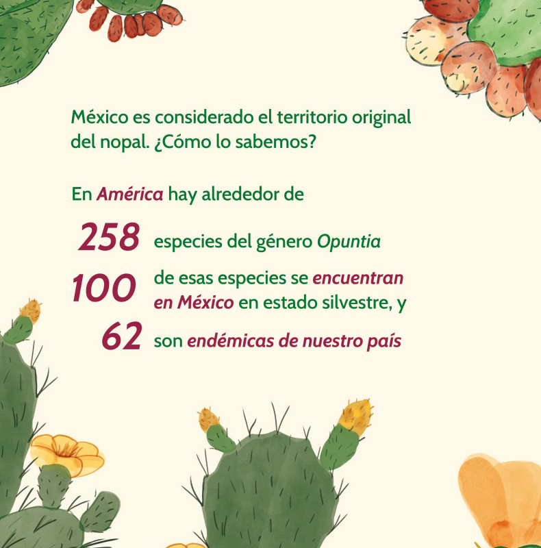nopal