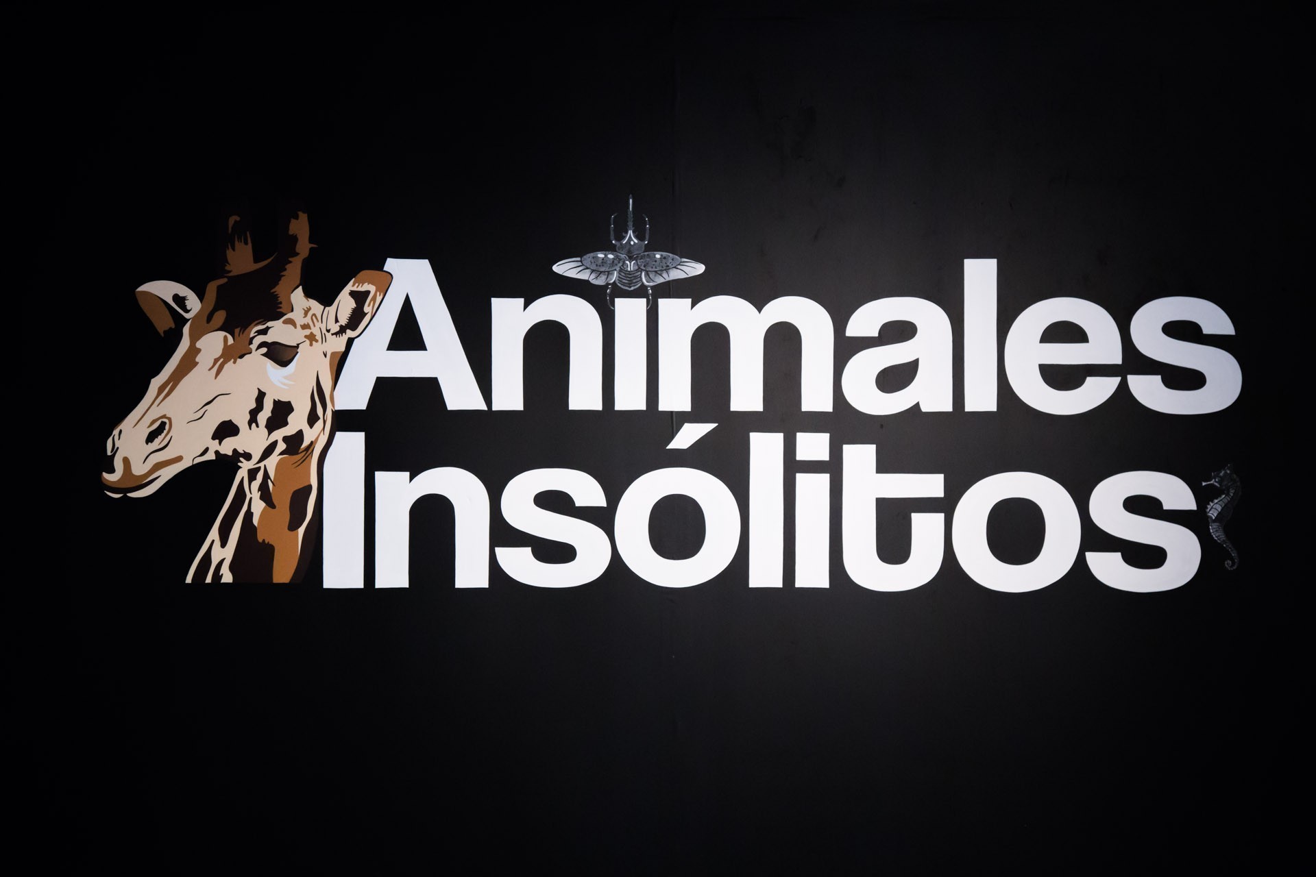 Animales Insólitos.jpg