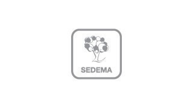 logo SEDEMA_principal-04.jpg