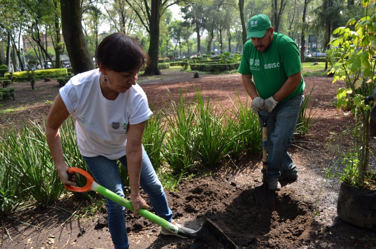 Se reverdece el Parque de los Venados con el Reto Verde