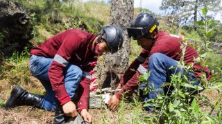 Concluyen brigadas de Corenadr saneamiento forestal en bosques de Tlalpan