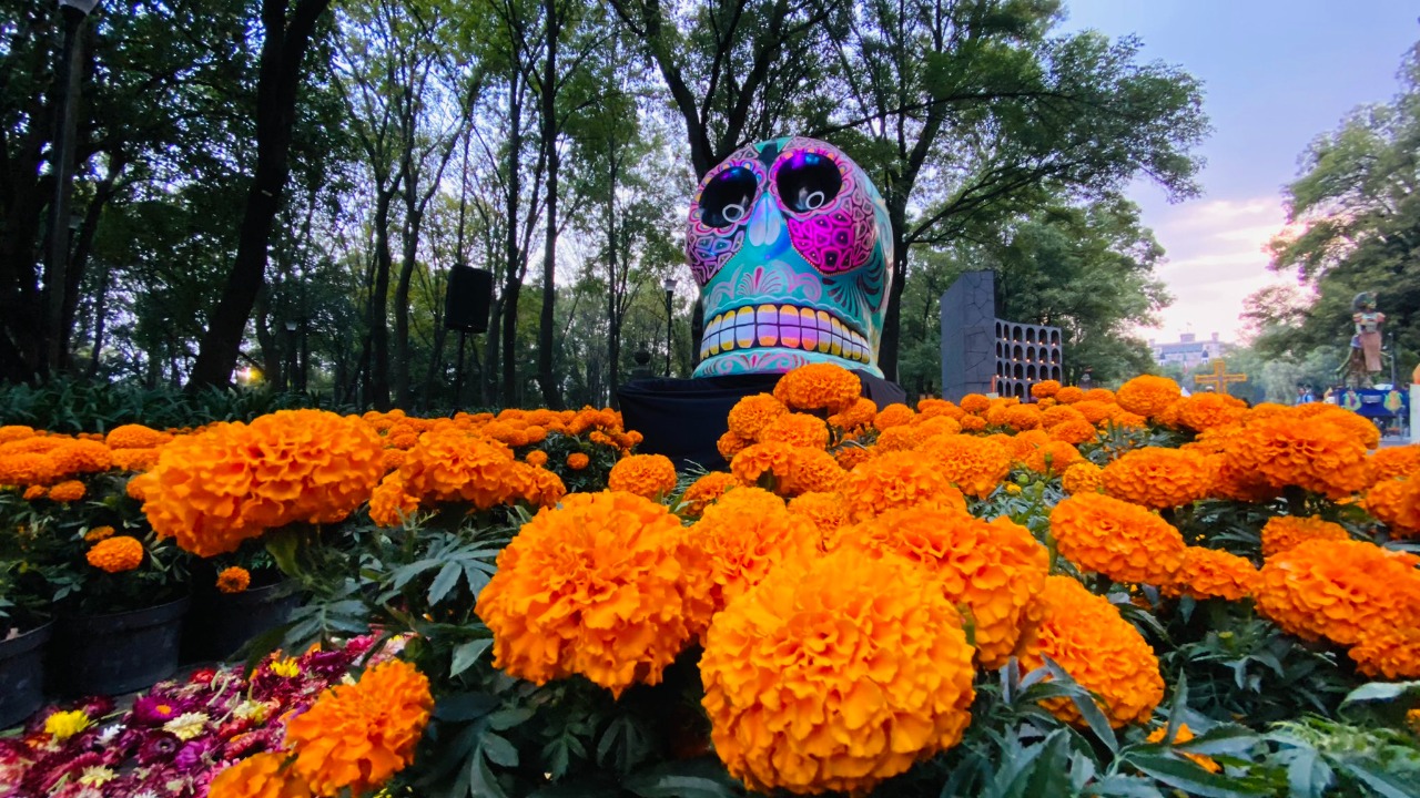 Rinde Bosque de Chapultepec homenaje a panteones con “Iluminando Almas”