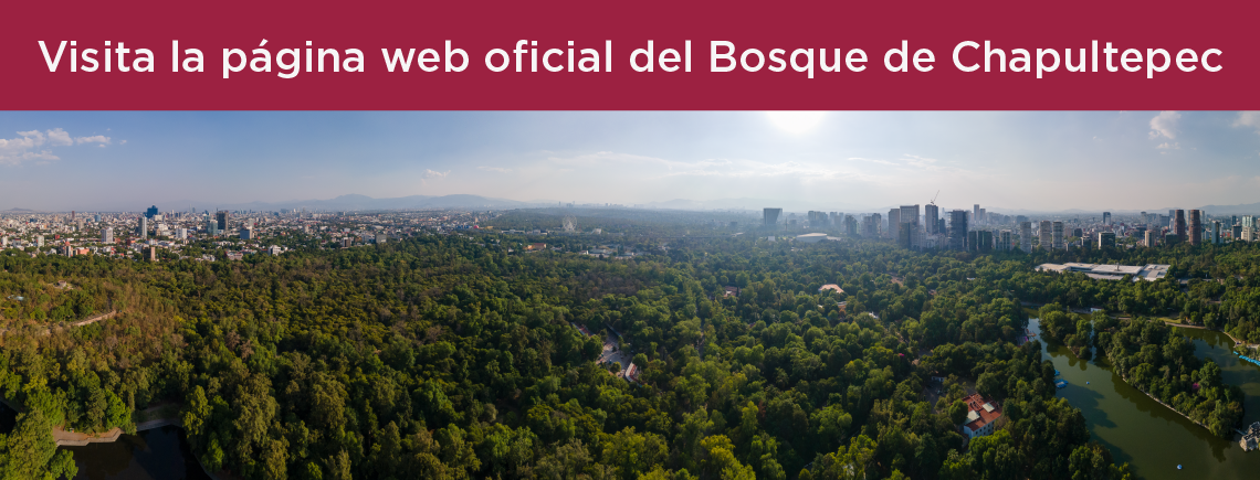 Visita la página web oficial del Bosque de Chapultepec