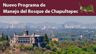 Nuevo Programa de Manejo del Bosque de Chapultepec