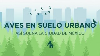 Tómate unos minutos y escúchalas