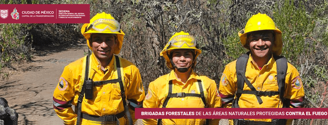 Prevención de Incendios