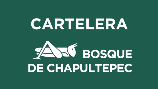 Bosque de Chapultepec 🦗