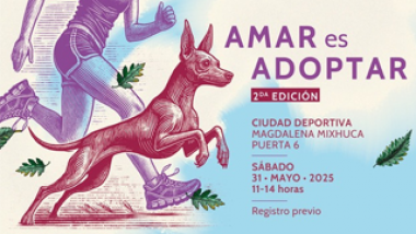 Carrera recreativa