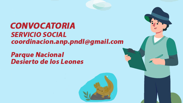 Servicio Socal, Desierto de los Leones