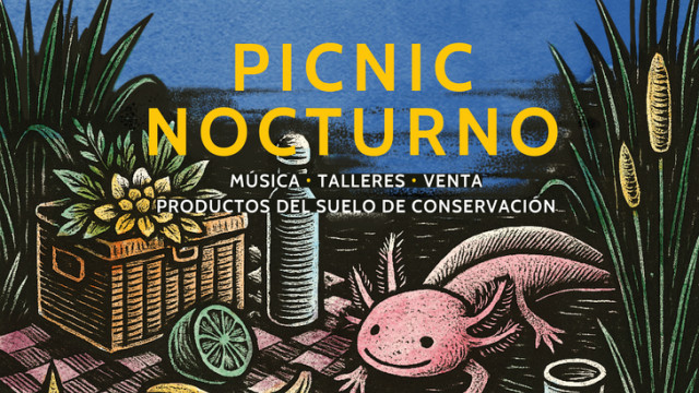 24 de mayo-Picnic nocturno Acuexcomatl_boletin (1).jpg
