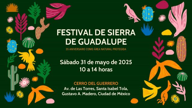 Festival Sierra de Guadalupe.jpeg