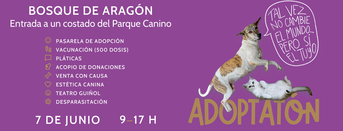 Adoptatón