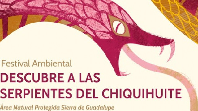 Descubre a las serpientes (1).jpeg