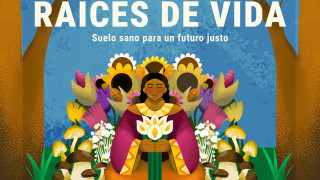Aprende más sobre la importancia del suelo con la jornada de actividades “Raíces de Vida: Suelo sano para un futuro justo”