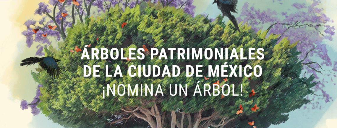 Arbolado Patrimoniales