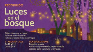 “Luces en el Bosque” en Ecoguardas: una experiencia nocturna para redescubrir la biodiversidad