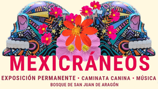 banner_mexicraneos_chico.png