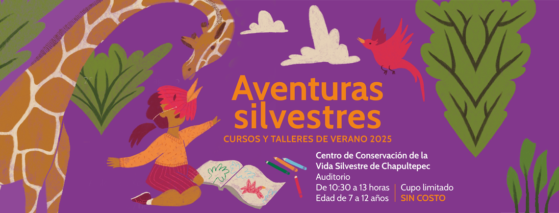 Aventuras Silvestre