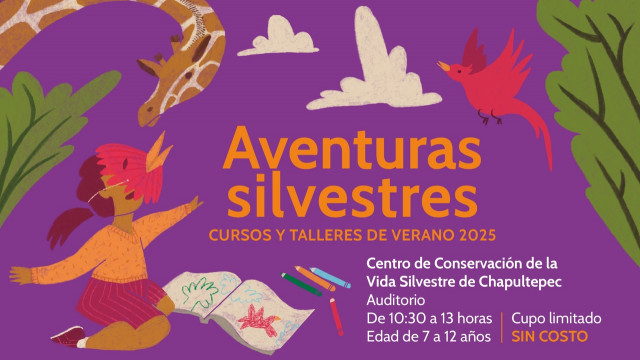 Cartel Verano Chapultepec.jpeg