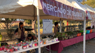 Invita SEDEMA a nuevo Mercado de Trueque en macroplaza de la Alcaldía Iztapalapa