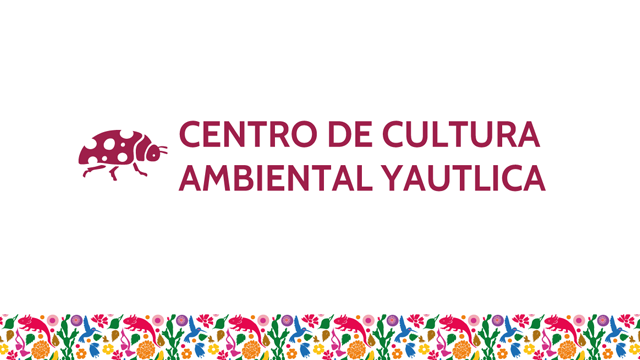 ¡Diviértete con nosotros!