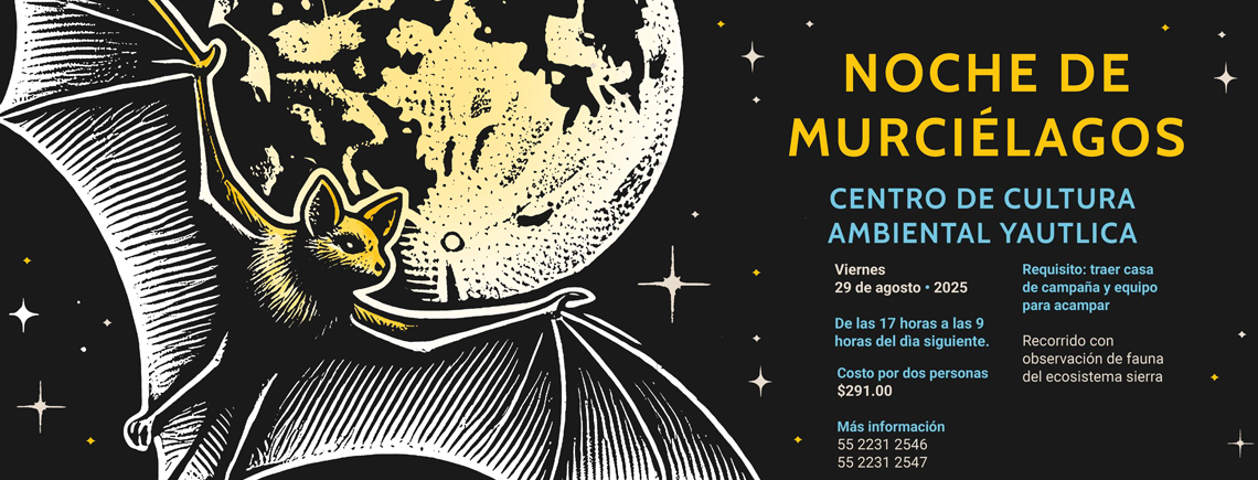 Noche Murcielagos