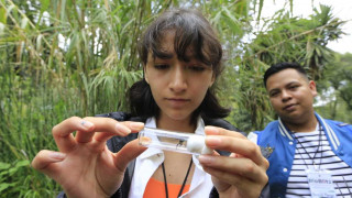 SEDEMA y comunidad científica realizarán el segundo BioBlitz en la Segunda Sección del Bosque de Chapultepec