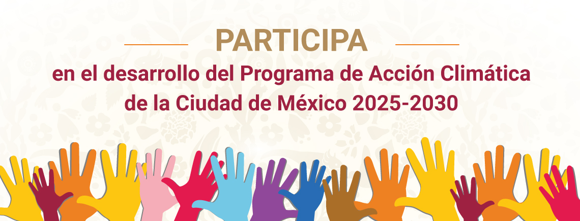 Consulta PACCM
