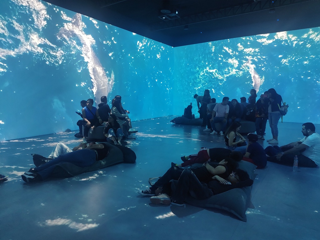 Experiencia Audiovisual.jpg