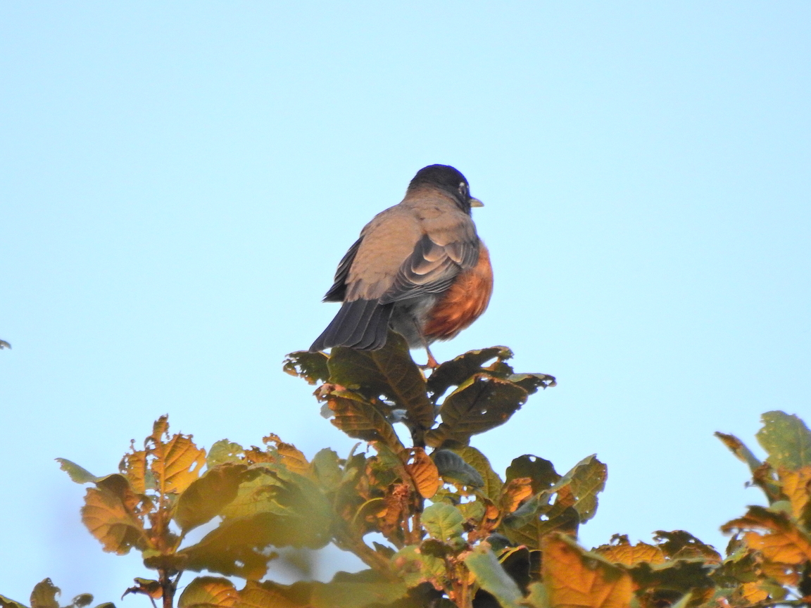 DSCN5304.jpg