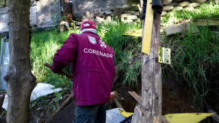 Realizan operativo para recuperar 9 hectáreas del Área Natural Protegida
San Nicolás Totolapan, La Magdalena Contreras