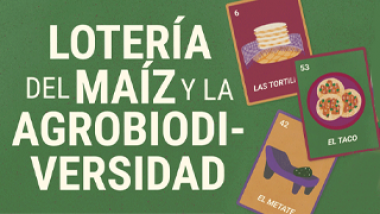 Lotería del Maíz