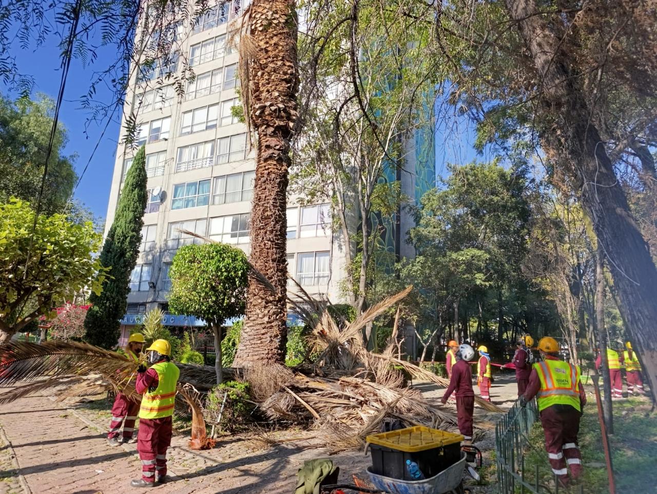 WhatsApp Image 2025-10-30 at 11.14.11 (4).jpeg