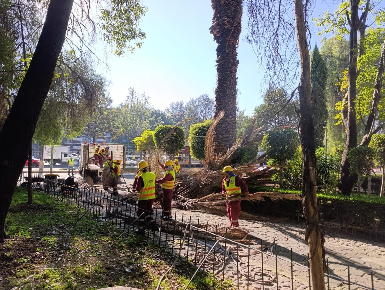 WhatsApp Image 2025-10-30 at 11.14.11 (5).jpeg