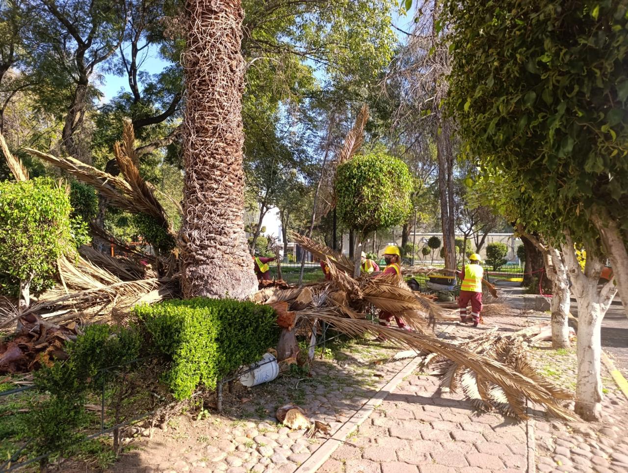 WhatsApp Image 2025-10-30 at 11.14.11 (3).jpeg