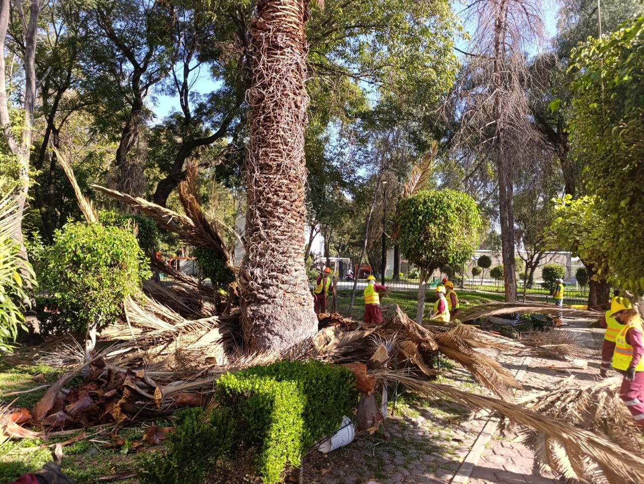 WhatsApp Image 2025-10-30 at 11.14.11 (2).jpeg