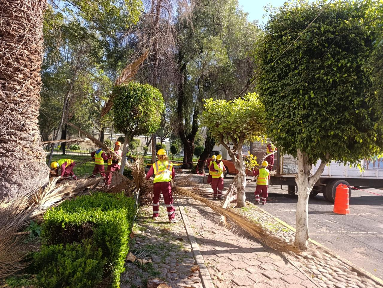 WhatsApp Image 2025-10-30 at 11.14.11 (1).jpeg