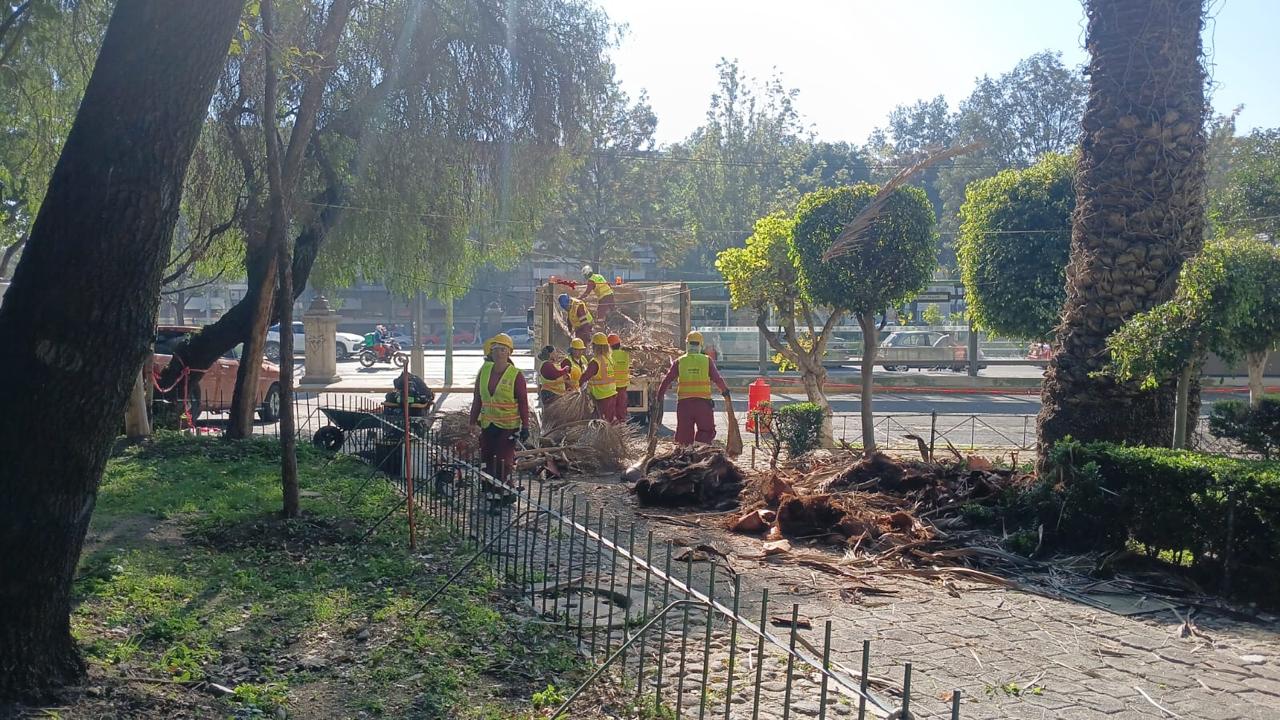 WhatsApp Image 2025-10-30 at 11.14.11.jpeg