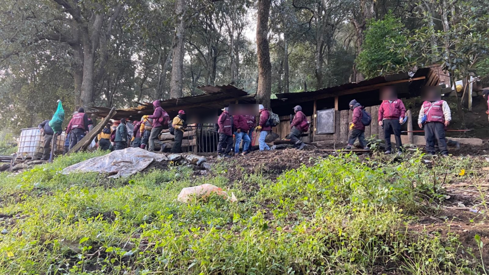 WhatsApp Image 2025-10-30 at 5.39.00 PM (2).jpeg