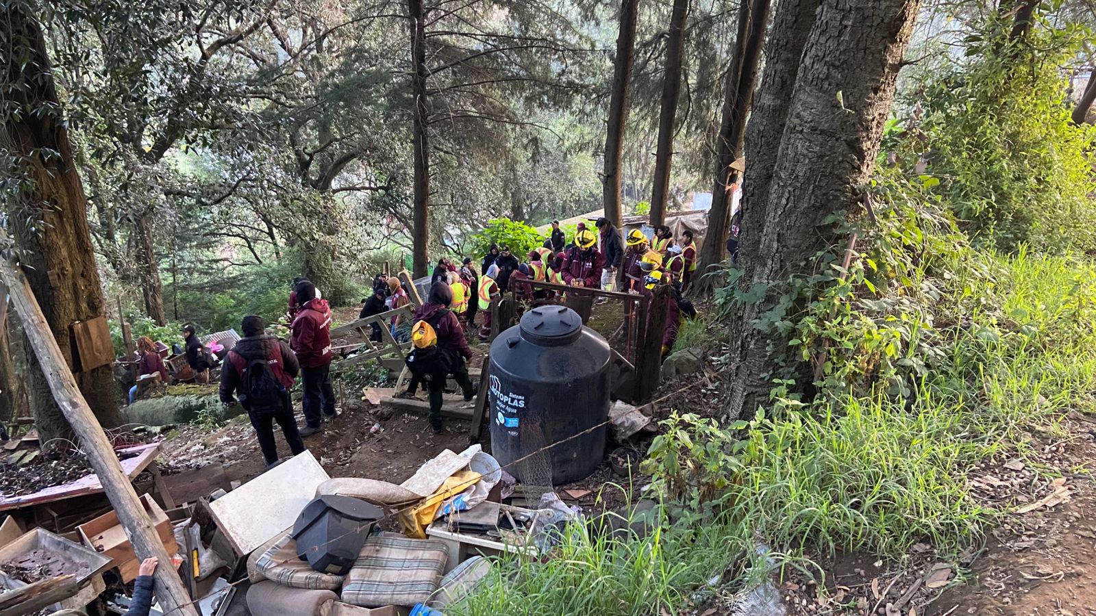 WhatsApp Image 2025-10-30 at 5.39.00 PM.jpeg