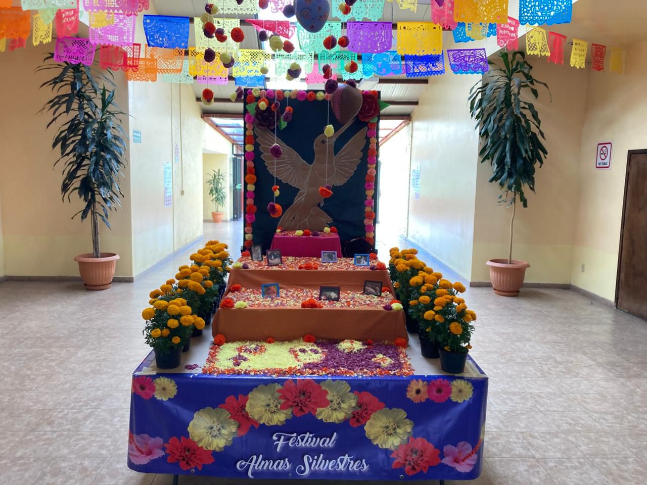 WhatsApp Image 2025-10-31 at 09.56.17 (1).jpeg