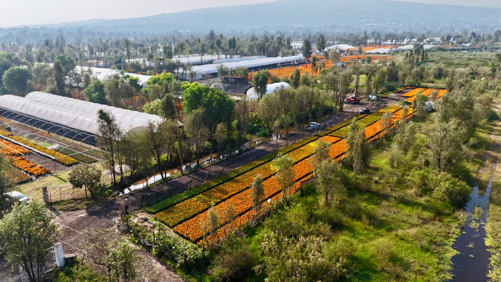 WhatsApp Image 2025-11-02 at 6.01.44 PM.jpeg