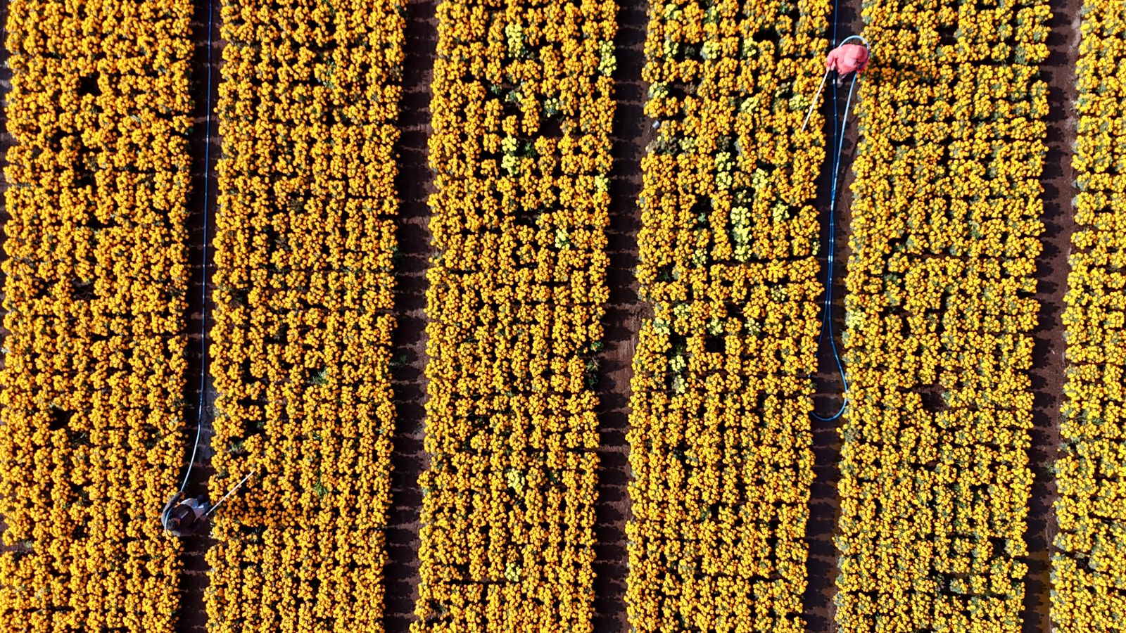 WhatsApp Image 2025-11-02 at 6.01.44 PM (3).jpeg