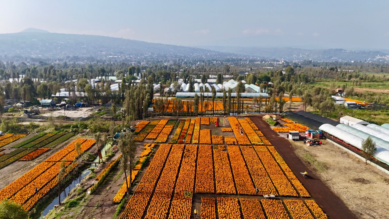 WhatsApp Image 2025-11-02 at 6.01.45 PM.jpeg